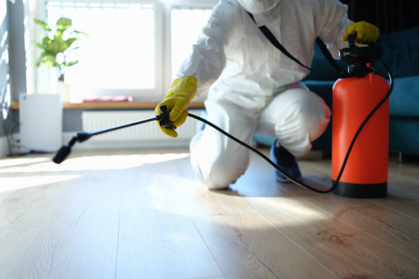 Reliable Odor Removal contractor in Contoocook, NH by Trauma Clean Pros